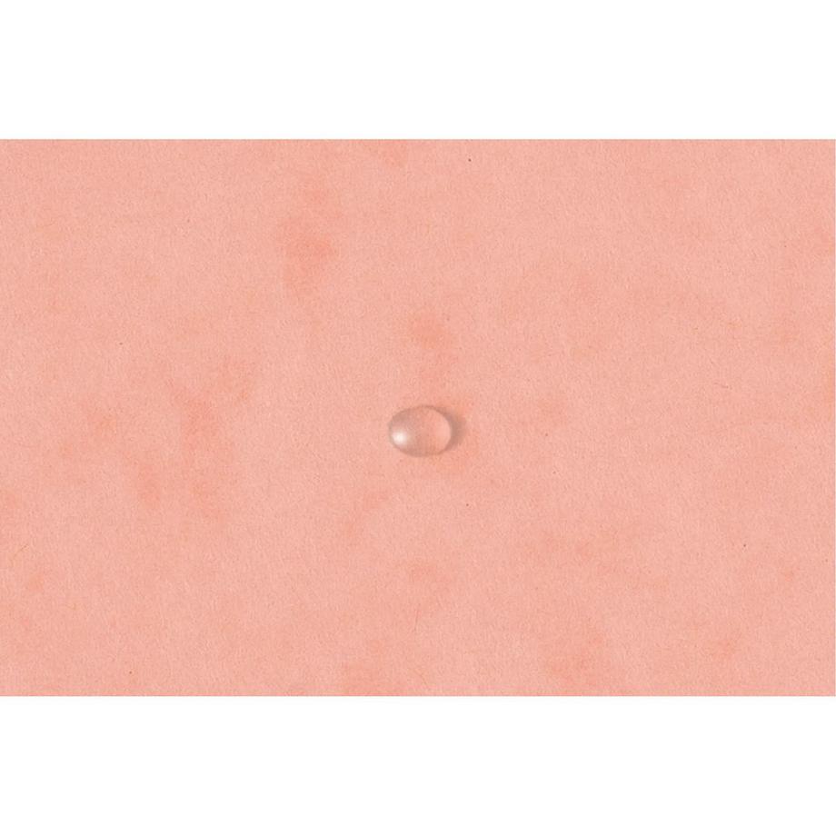 Exacompta Cartella 3 lembi con elastici cartoncino lustré 400g/mq Aquarel - A4 - x 25  