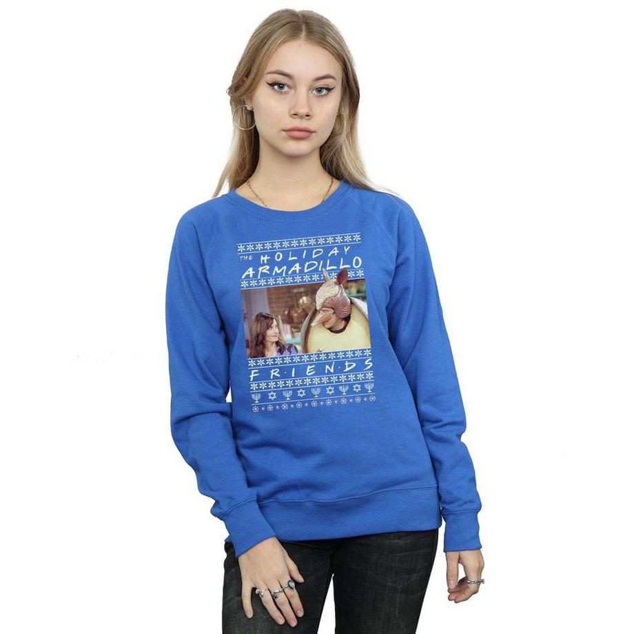 Friends Holiday Armadillo Sweatshirt  