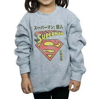 DC COMICS  Superman Shield Sweatshirt 