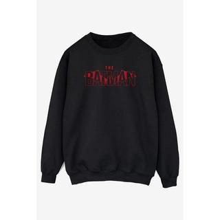 DC COMICS The Batman Logo Regular Fit Sweatshirt  