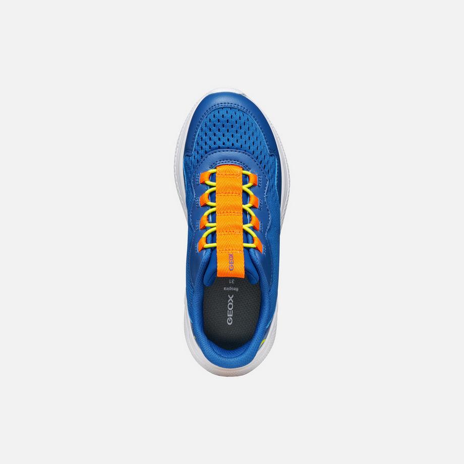 GEOX Sprintye Fast In Sneakers  