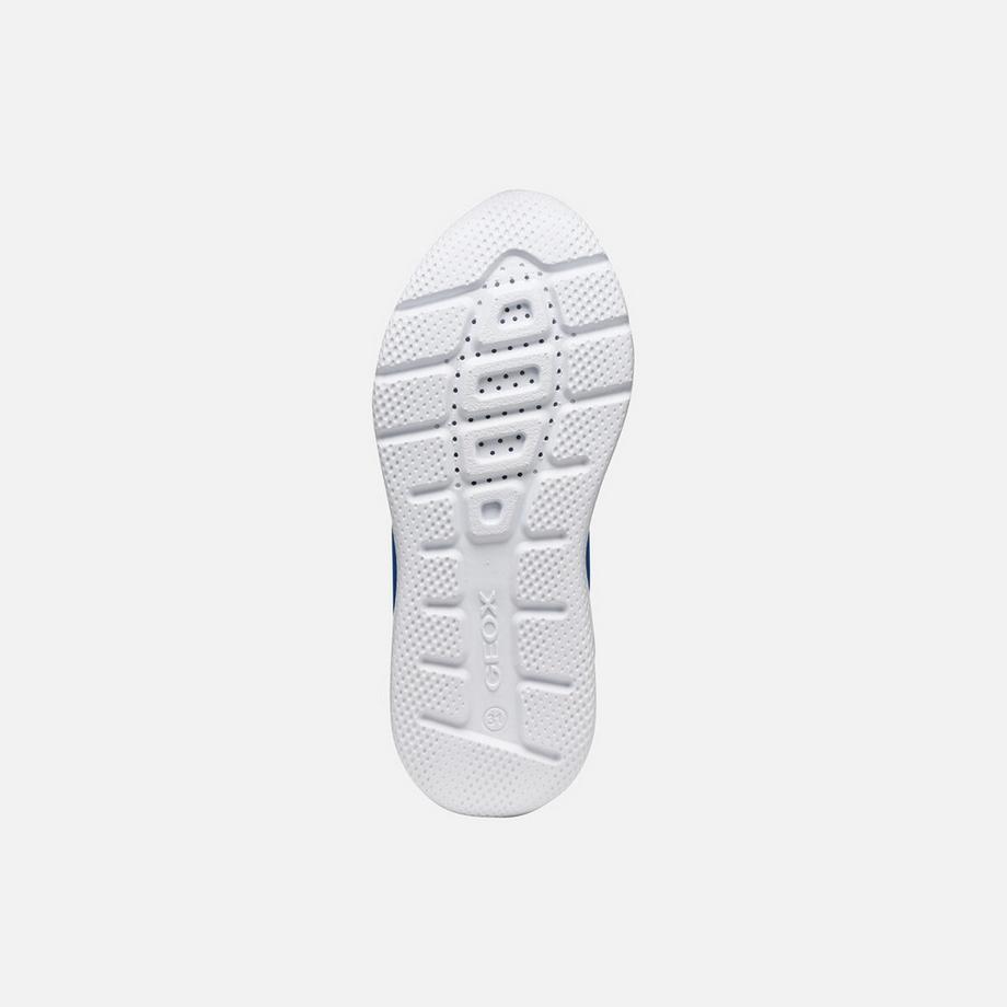 GEOX Sprintye Fast In Sneakers  