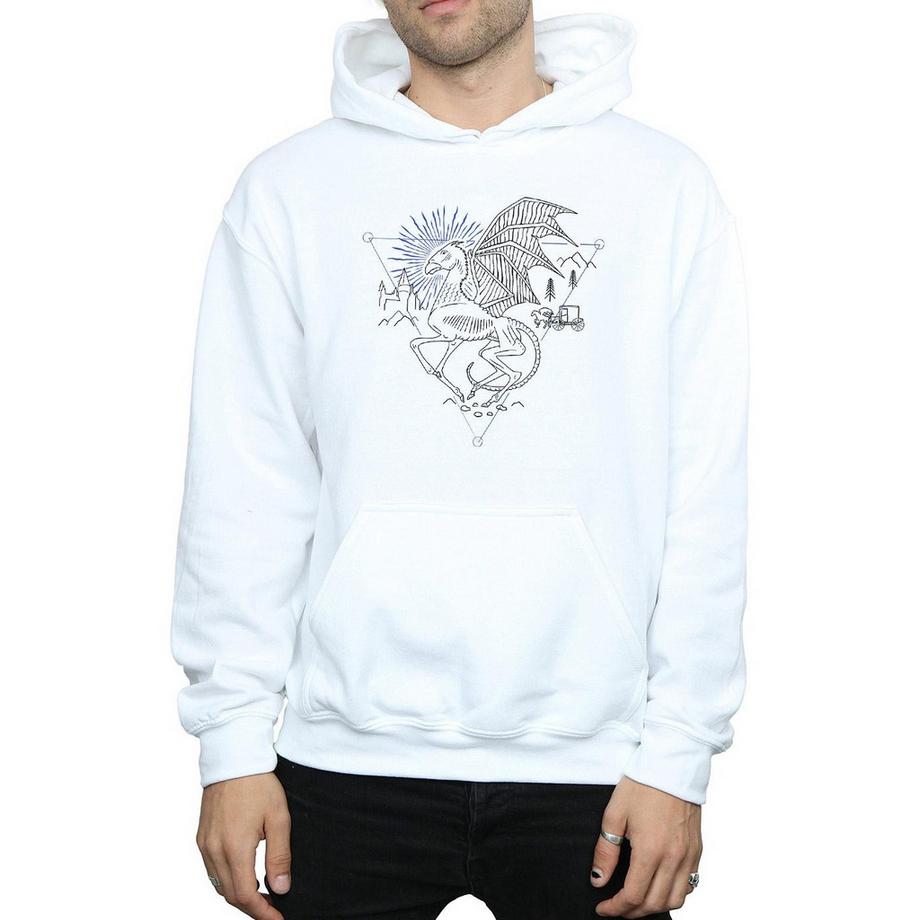 Harry Potter Drachen Print Kapuzenpullover  