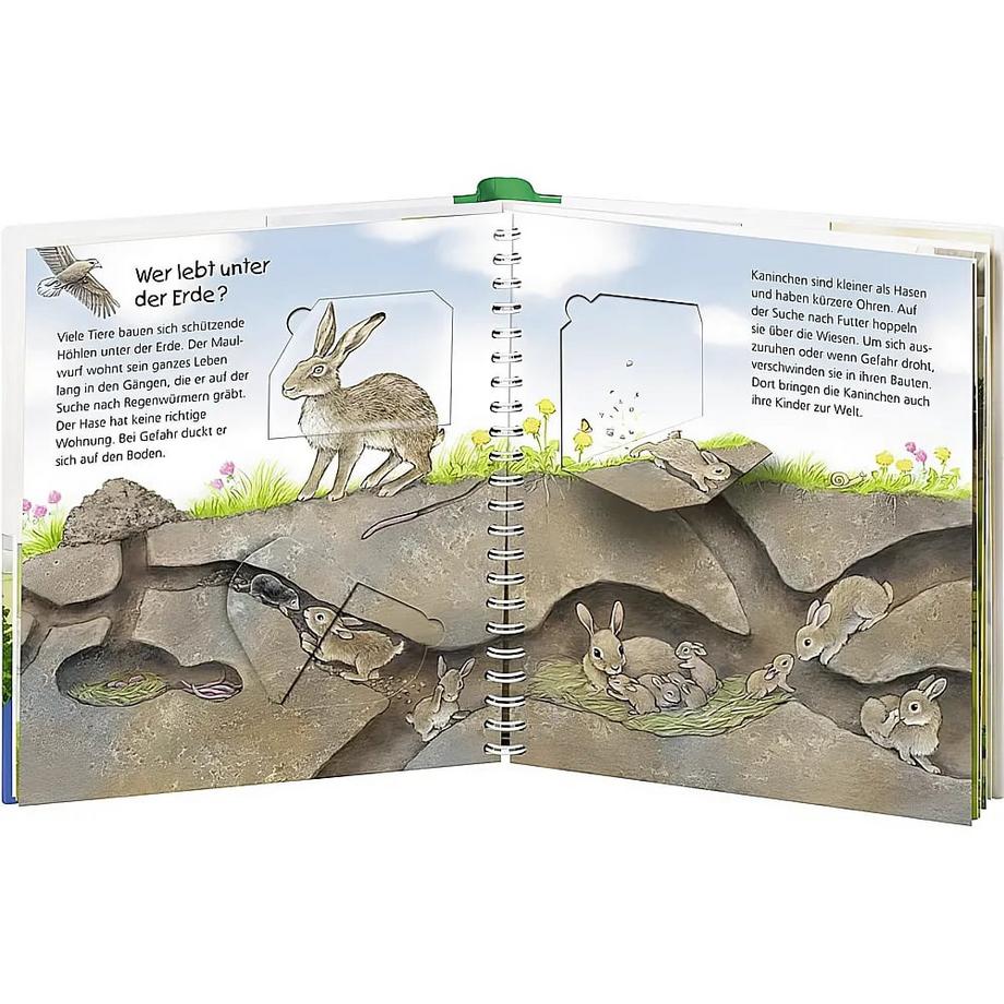 Wieso? Weshalb? Warum? junior, Band 46: Wo die Tiere wohnen Möller, Anne; Möller, Anne (Illustrationen) Gebundene Ausgabe 