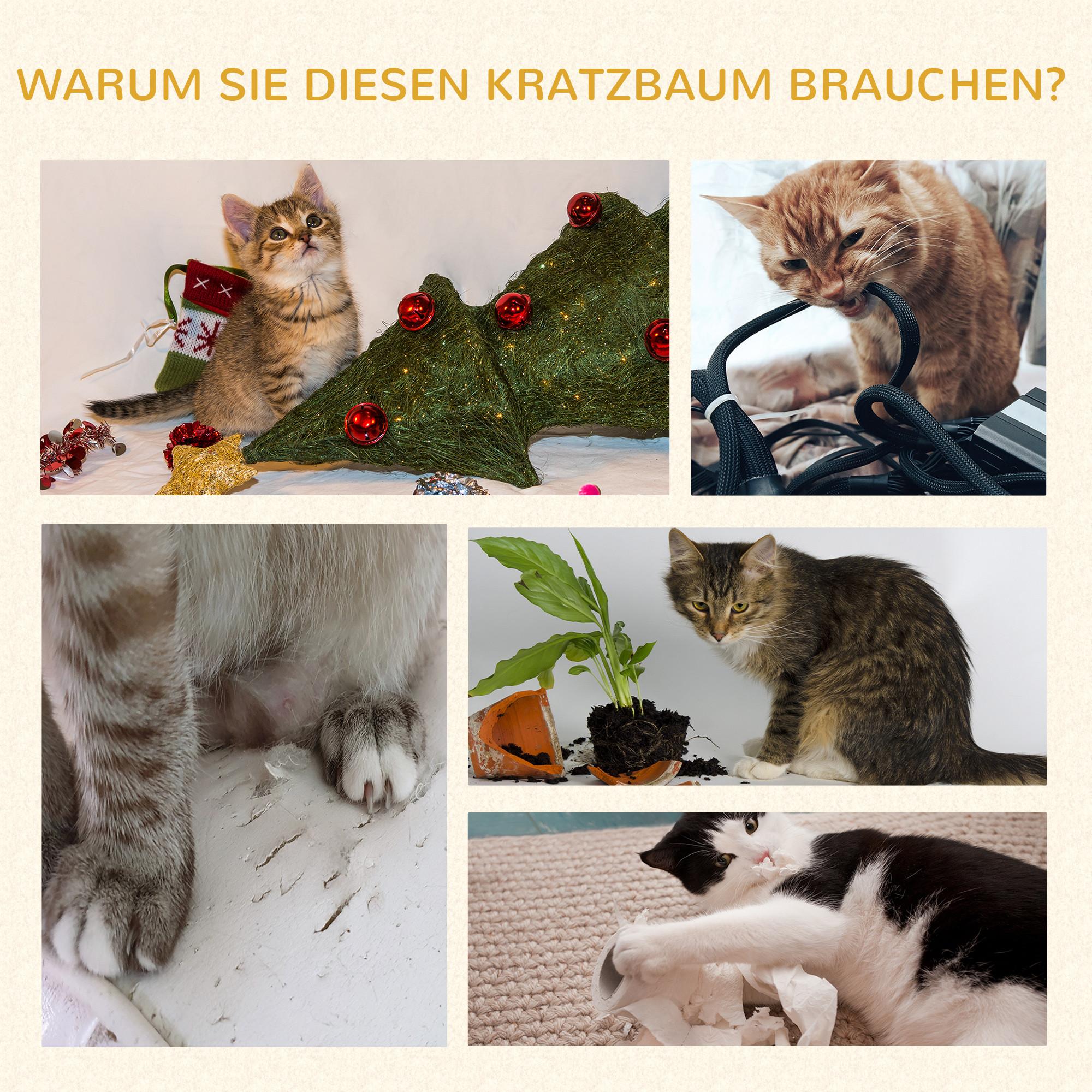 PawHut  Kratzbaum 