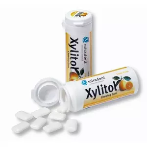 Xylitol Frucht Zahnpflegekaugummi, Dose à 30 Stk.