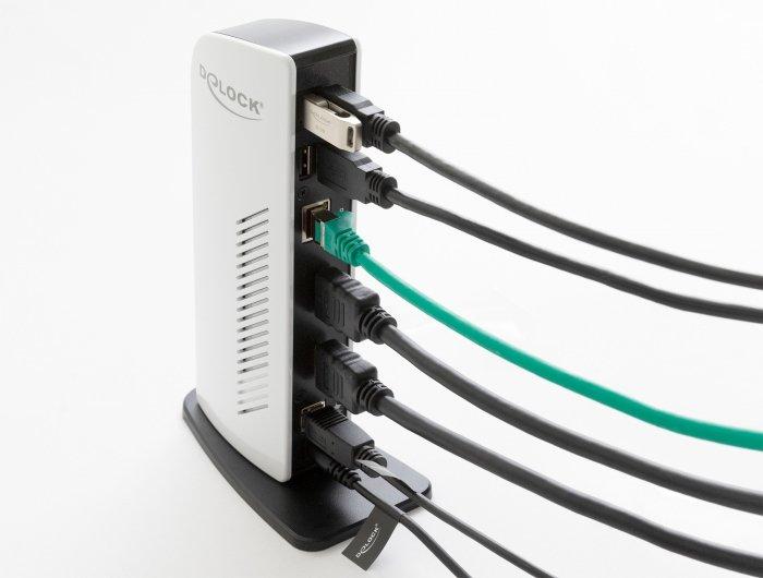 DeLock  87771 Notebook-Dockingstation & Portreplikator Kabelgebunden Schwarz, Weiß 