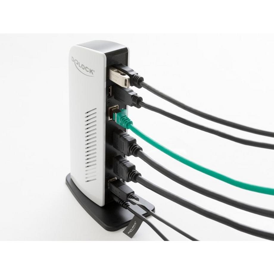 DeLock  87771 Notebook-Dockingstation & Portreplikator Kabelgebunden Schwarz, Weiß 