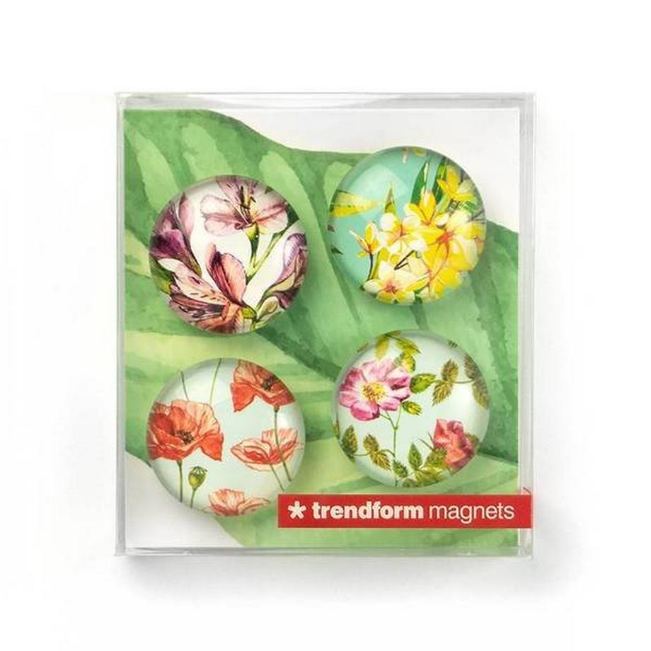 trendform EYE-Magnete FLOWER 4er Set  