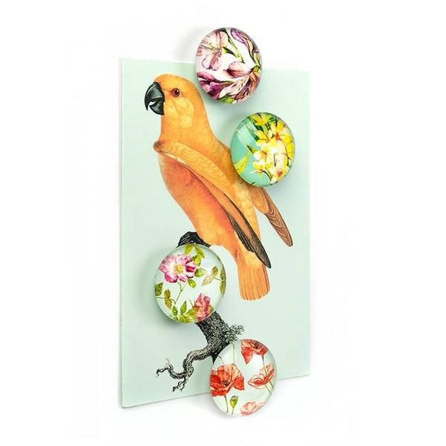 trendform EYE-Magnete FLOWER 4er Set  