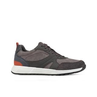 GEOX  sneakers molveno 