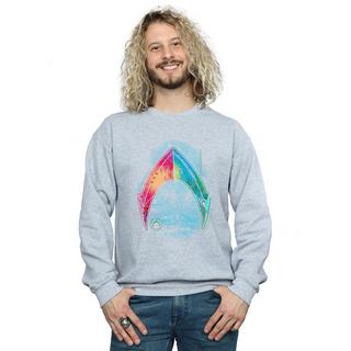 DC COMICS Aquaman Mera Logo Sweatshirt  