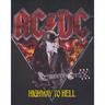 Amplified  Highway To Hell TShirt 