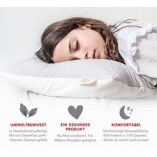 Zizzz Bio Entendaunenkissen Nomite & Downpass  