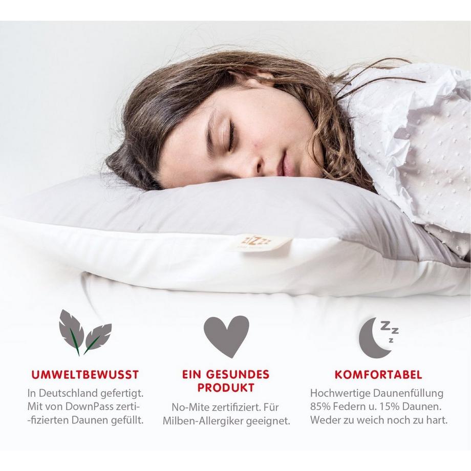 Zizzz Bio Entendaunenkissen Nomite & Downpass  