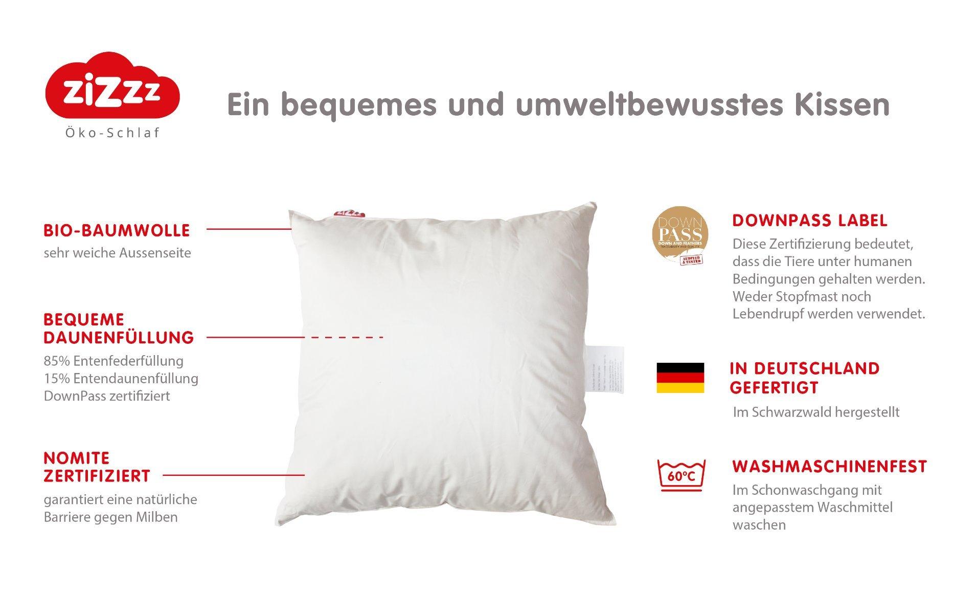 Zizzz Bio Entendaunenkissen Nomite & Downpass  