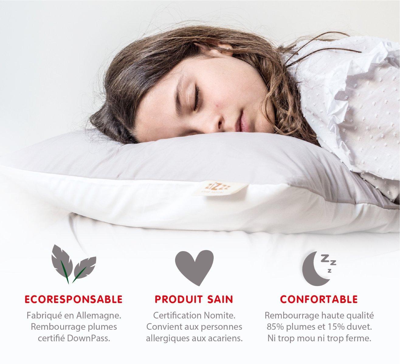 Zizzz Bio Entendaunenkissen Nomite & Downpass  