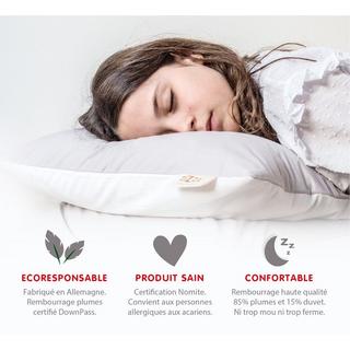 Zizzz Bio Entendaunenkissen Nomite & Downpass  