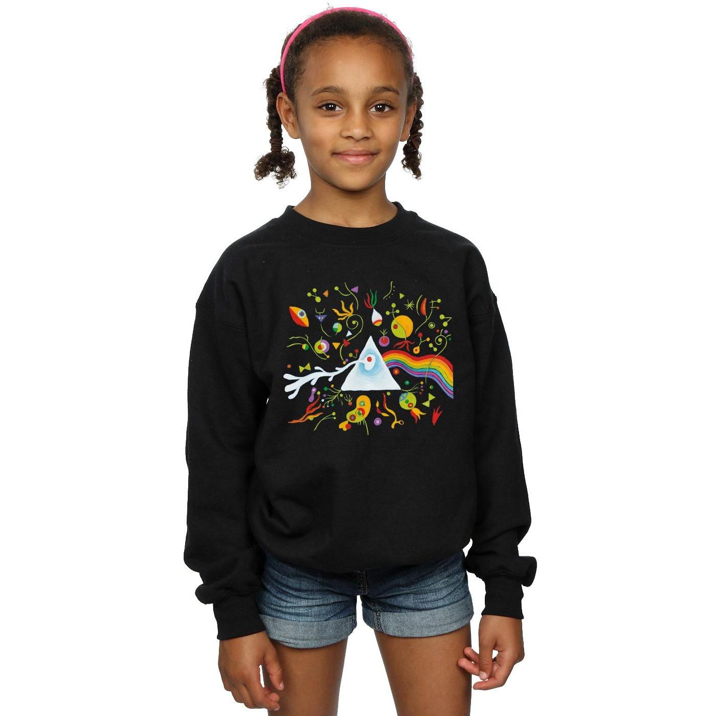 Pink Floyd  Miro 70s Sweatshirt 