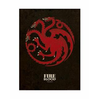 Game of Thrones Poster  