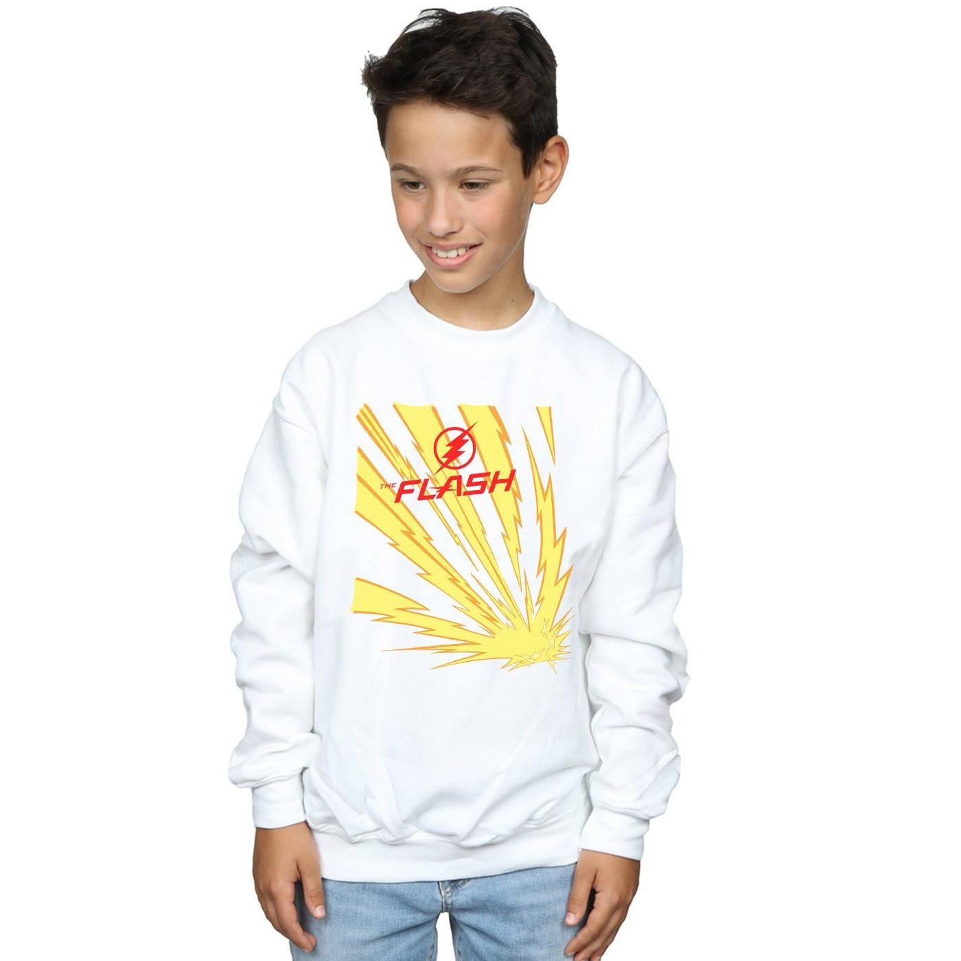 DC COMICS  Sweatshirt 