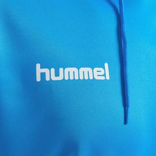 Hummel hmlPROMO Poly Kapuzenpullover  