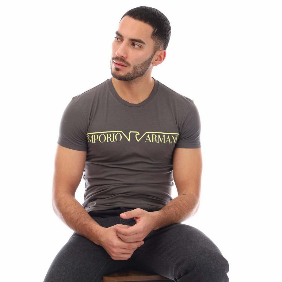 EMPORIO ARMANI Logo Slim Fit T-Shirt  