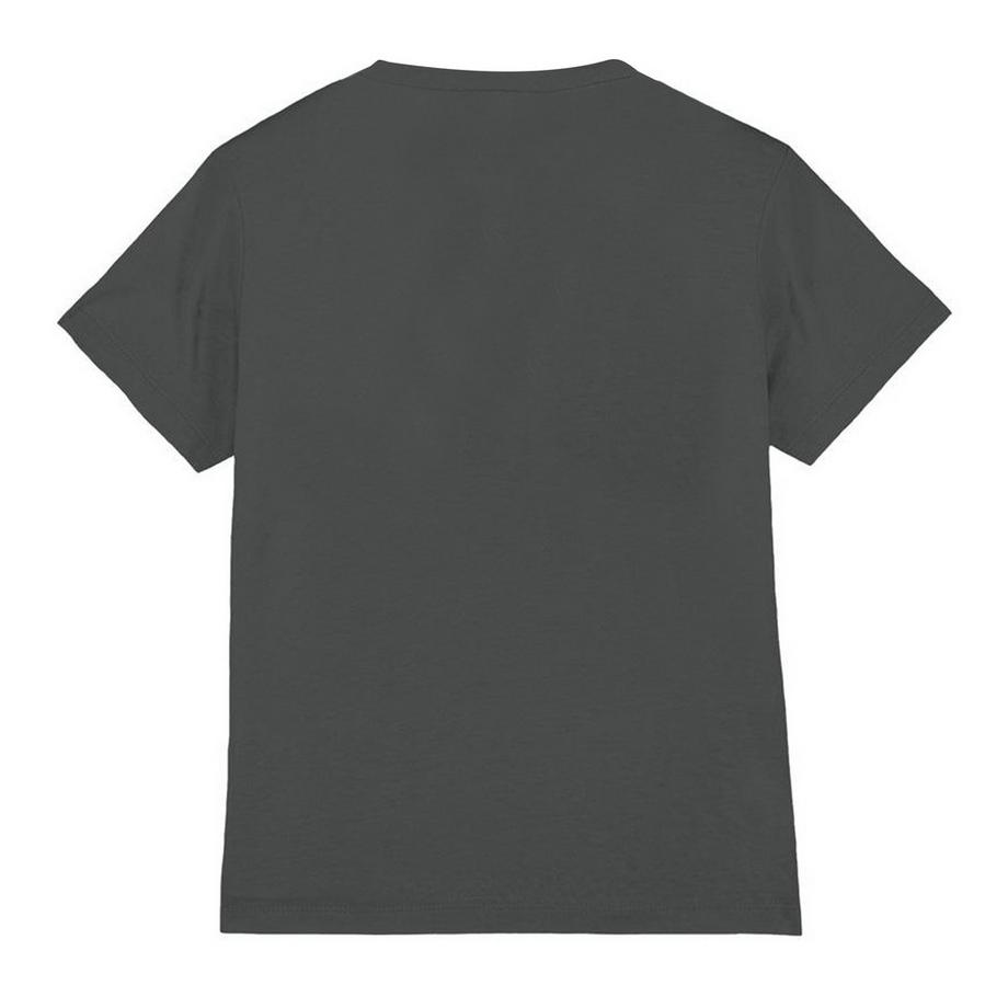 STAR WARS  Legend Continues TShirt 