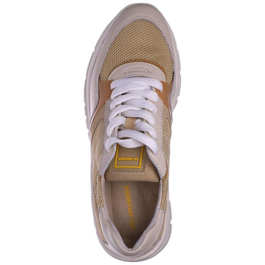 Salamander  Sneaker 