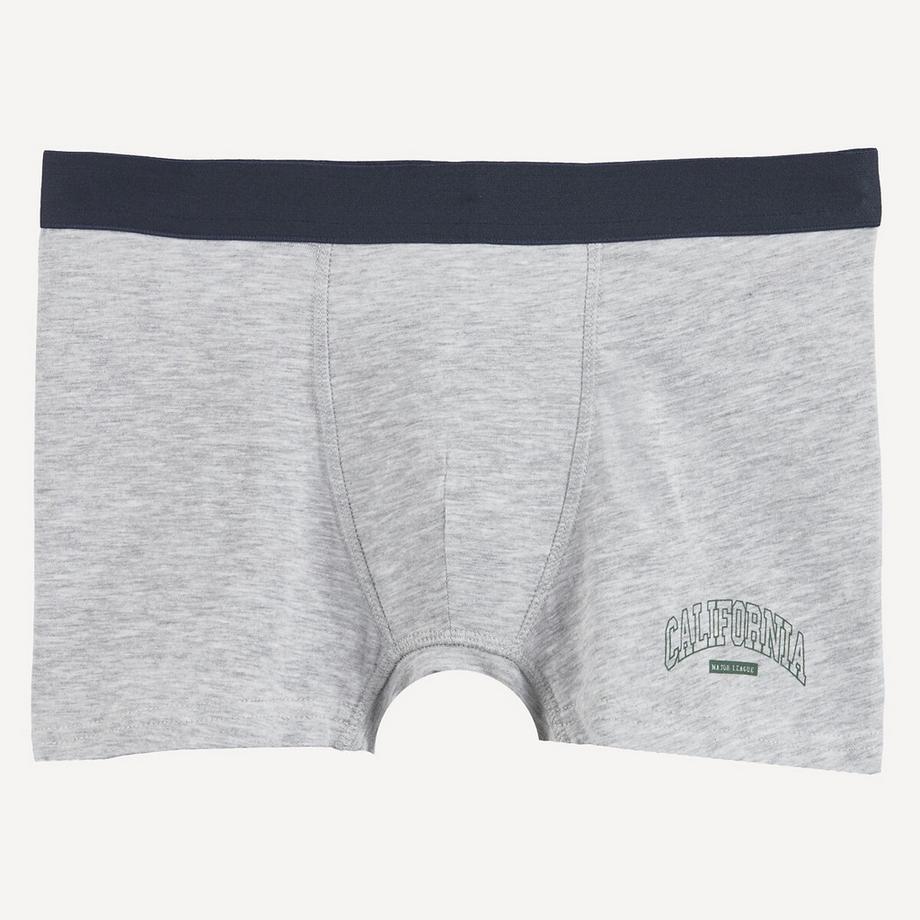 La Redoute Collections  Lot de 5 boxers en coton 