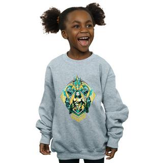 DC COMICS  Sweatshirt 