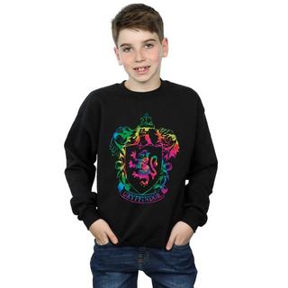 Harry Potter  Gryffindor Sweatshirt 