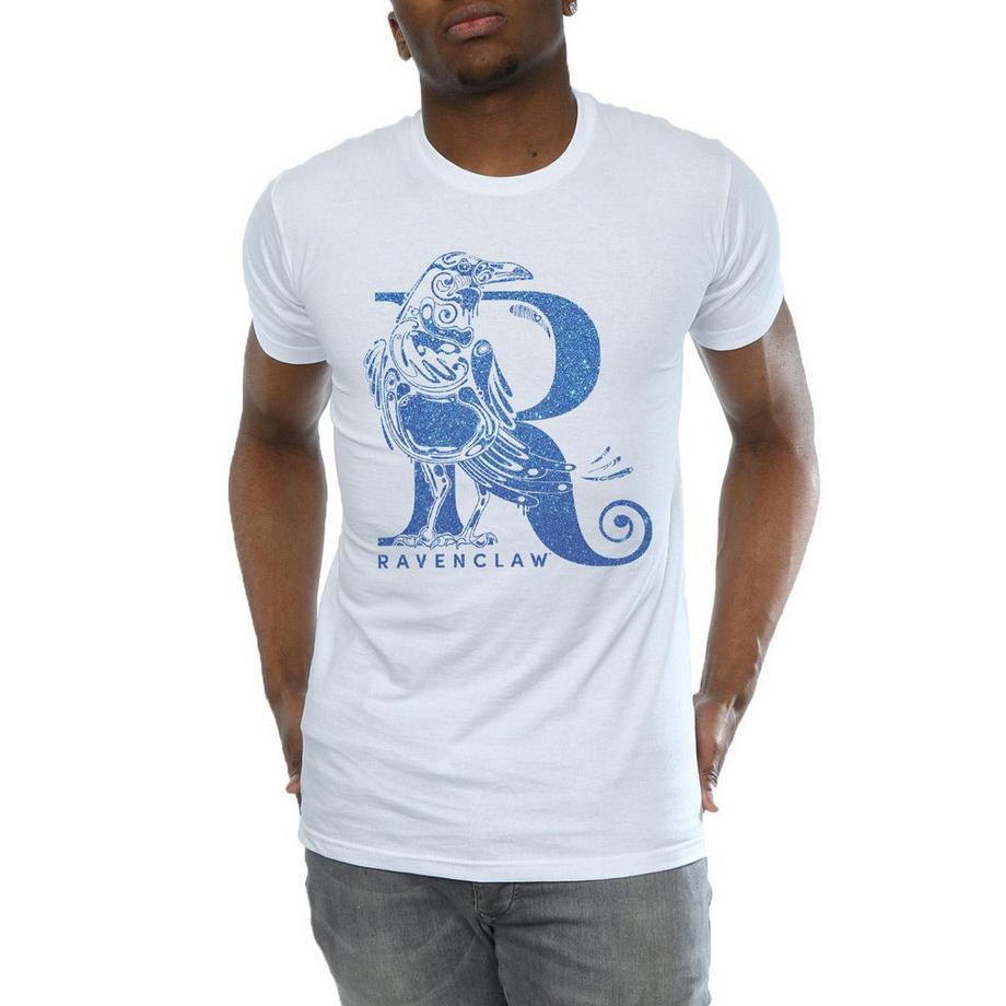 Harry Potter Ravenclaw T-Shirt  