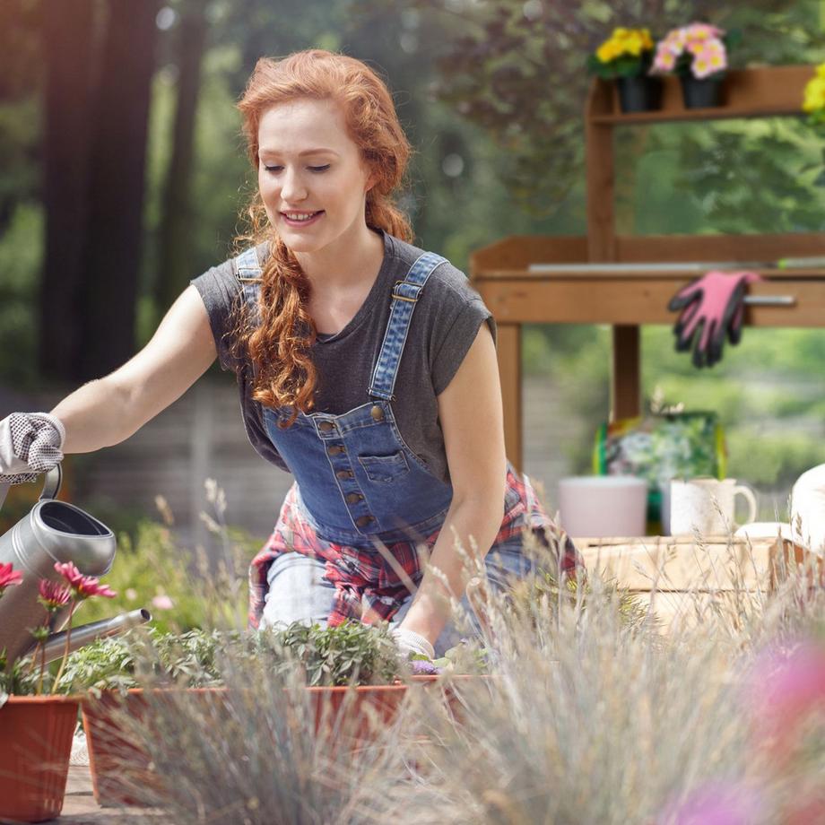 B2X Pflanztisch mit Rädern  
