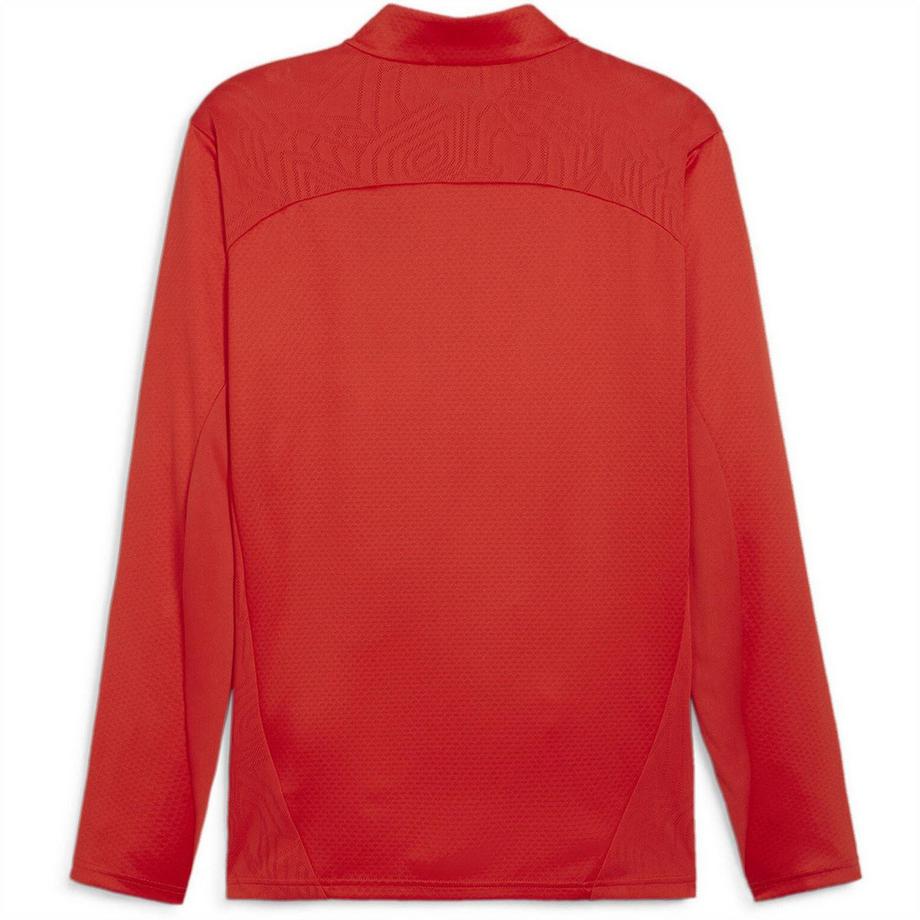 PUMA  Veste Teamgoal 