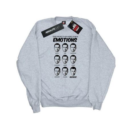 The Big Bang Theory  Sweatshirt 