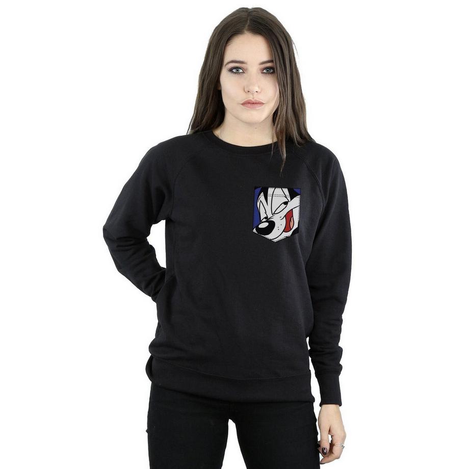 LOONEY TUNES Sylvester Taschen Sweatshirt  