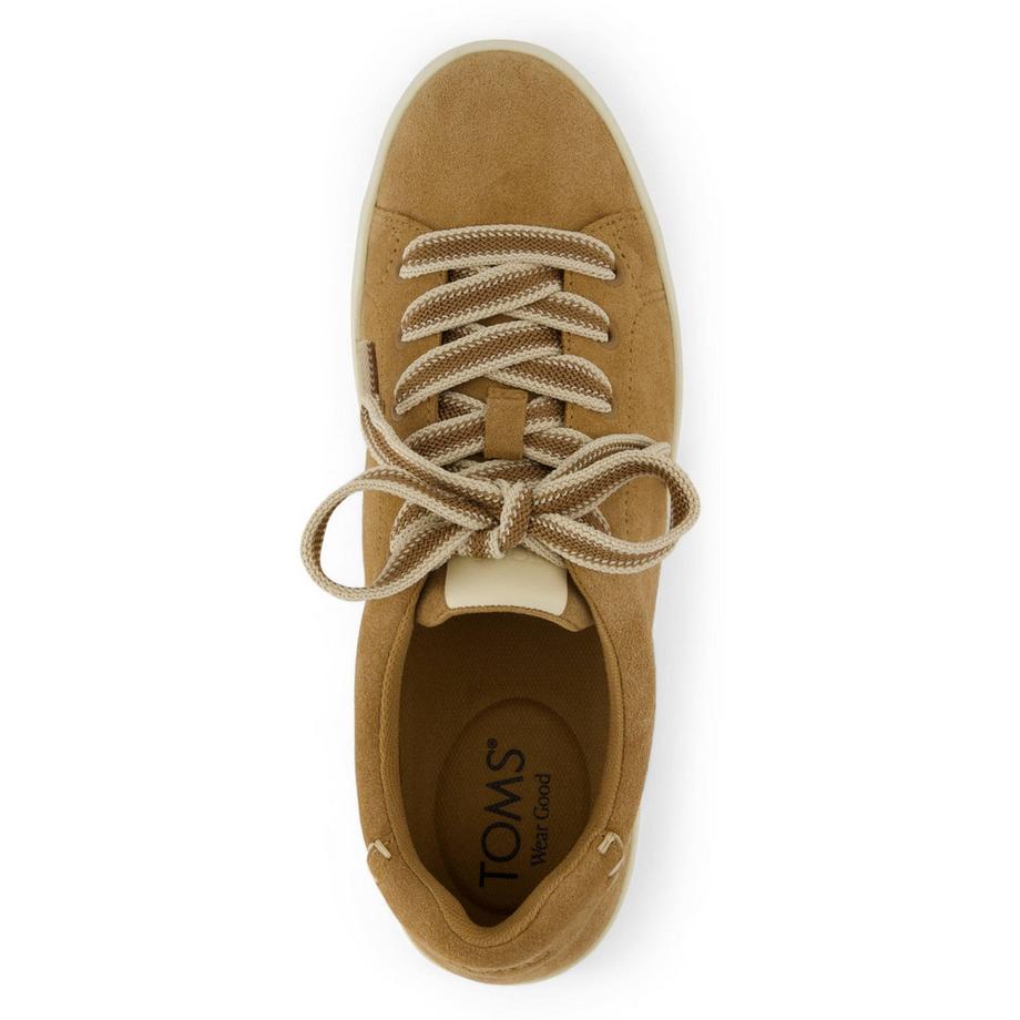 TOMS Sneakers Rea  