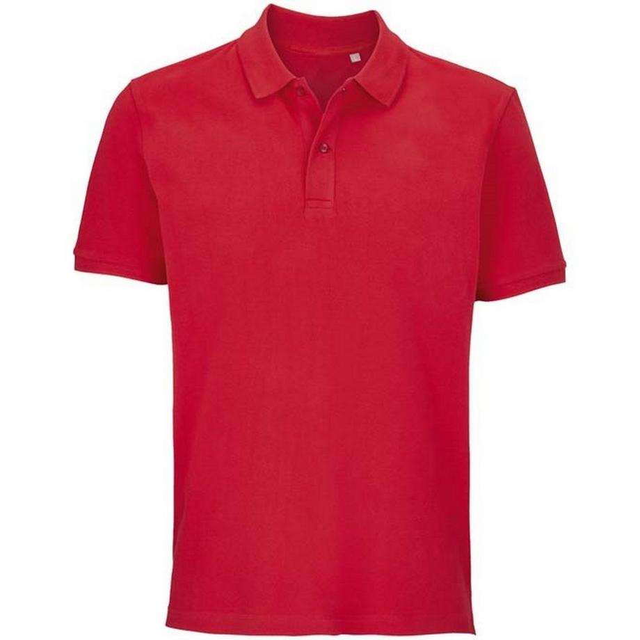Polo Pegase