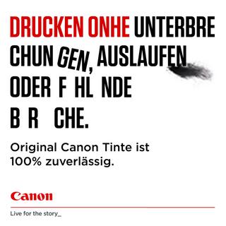 Canon  PG-540 cartouche d'encre 1 pièce(s) Original Rendement standard Noir 