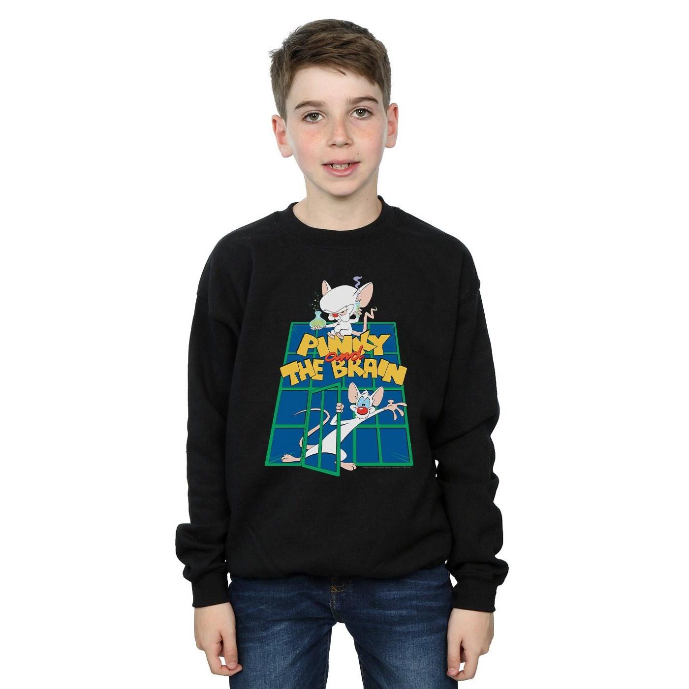 Animaniacs  Sweatshirt 