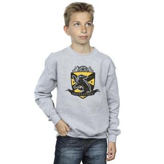 Harry Potter  Sweat HUFFLEPUFF 