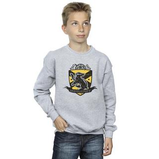 HARRY-POTTER  Sweat HUFFLEPUFF 