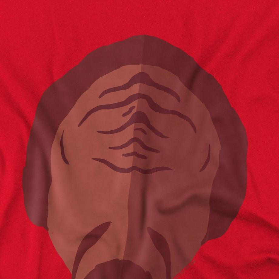 Star Trek Next Gen Klingon T-Shirt  