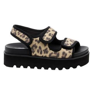 Rocket Dog  Sandales BALMY DEXTER 