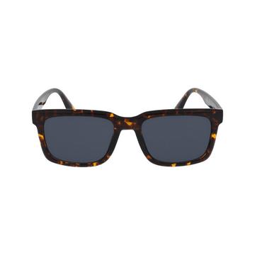 Sonnenbrille mit Etui