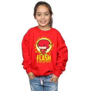 DC COMICS  My Hero Since Forever Sweatshirt 