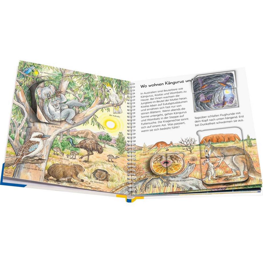 Wieso? Weshalb? Warum? junior, Band 73: Tiere der Welt Gernhäuser, Susanne; Kreimeyer-Visse, Marion (Illustrationen) Gebundene Ausgabe 