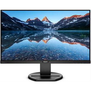 PHILIPS  252B9 (25", Full HD) 