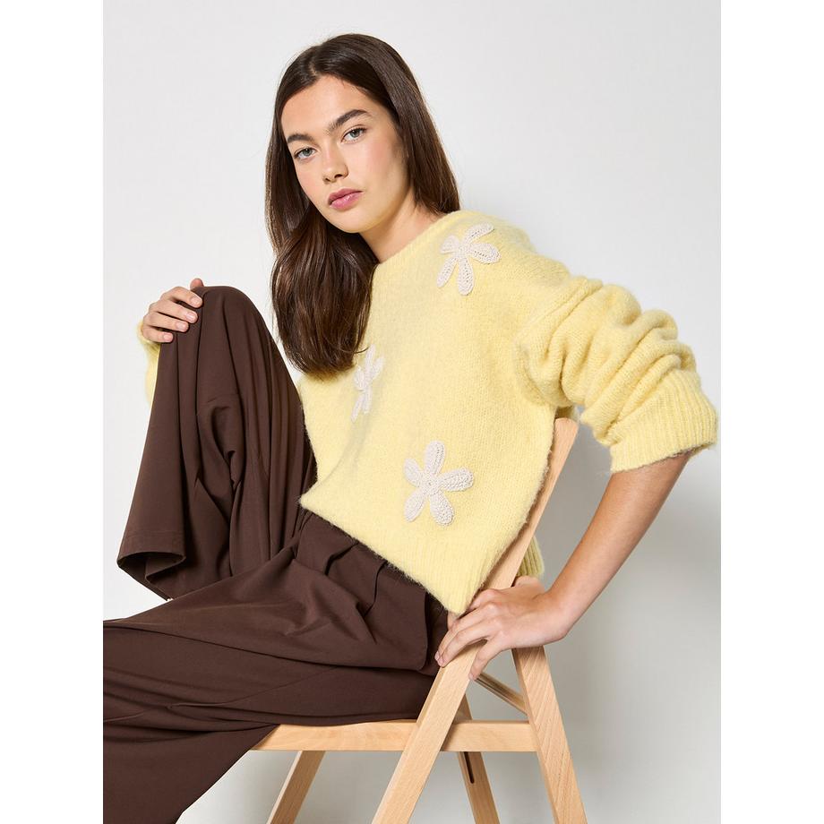 APRICOT Pull avec application de marguerites au crochet  